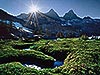 Ox Bow Meadow Stream, Sierra Nevada