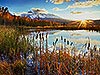 Beaver Pond - Telluride