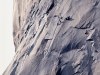 1277_High-on-El-Capitan-2000-feet-copy