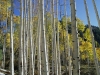 Color Landscape Photography, Nature  photography_Bob Carmichael Fine Art Prints