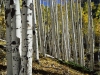 Color Landscape Photography, Nature  photography_Bob Carmichael Fine Art Prints