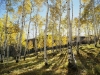 Color Landscape Photography, Nature  photography_Bob Carmichael Fine Art Prints