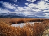 Color Landscape Photography, Nature  photography_Bob Carmichael Fine Art Prints