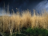 Color Landscape Photography, Nature  photography_Bob Carmichael Fine Art Prints