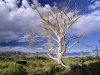 Color Landscape Photography, Nature  photography_Bob Carmichael Fine Art Prints