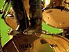 Carmichael Productions, Inc Silvertide Musical Performance Photography